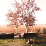 agriturismo-musile-di-piave-campagna-1024x768